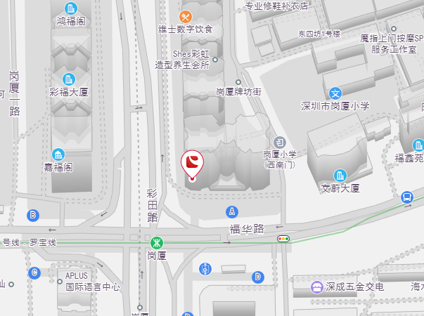 乐思体育